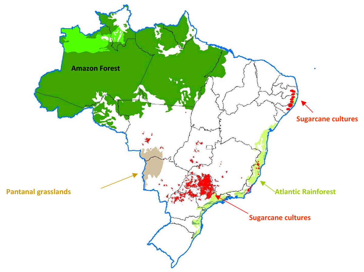 Deforestation case study brazil
